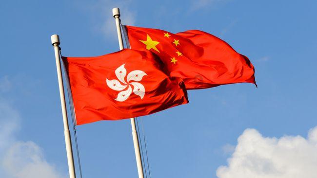 宠物世界聚会